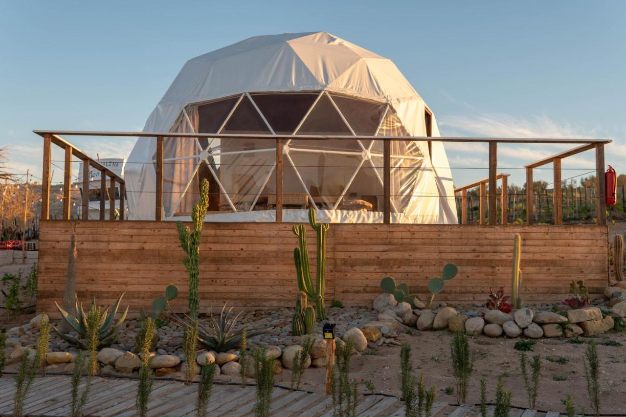 ホテル Timlalin Dome タムリ エクステリア 写真